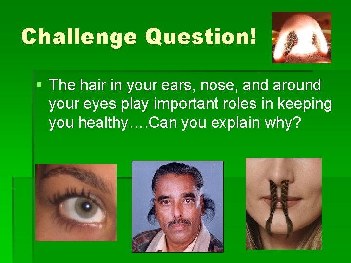 Challenge Question! § The hair in your ears, nose, and around your eyes play