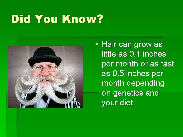 Did You Know? § Hair can grow as little as 0. 1 inches per