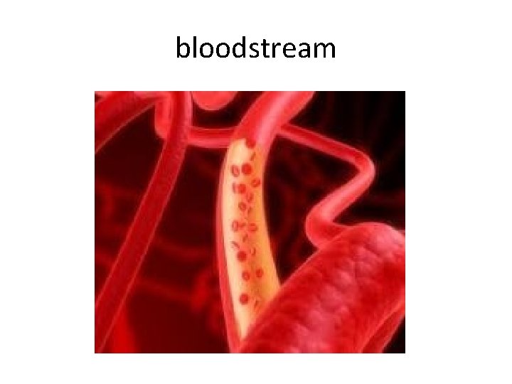 bloodstream 