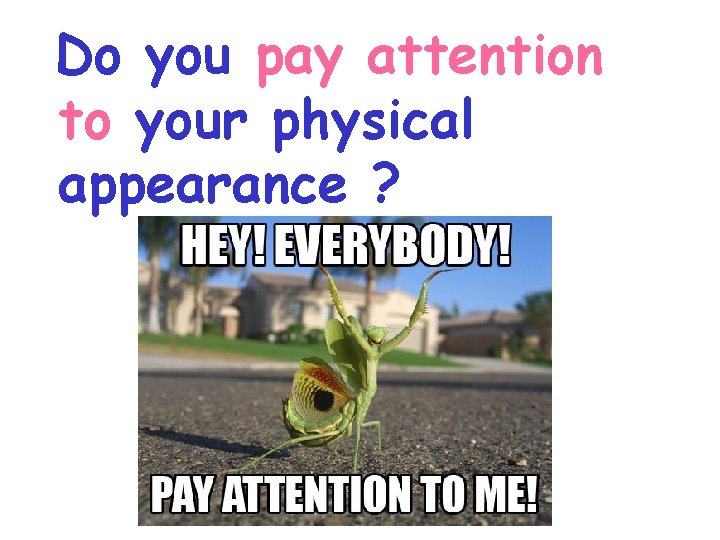 Do you pay attention to your physical appearance ? 