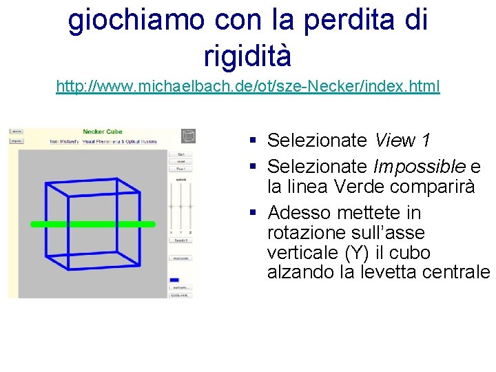 giochiamo con la perdita di rigidità http: //www. michaelbach. de/ot/sze-Necker/index. html § Selezionate View