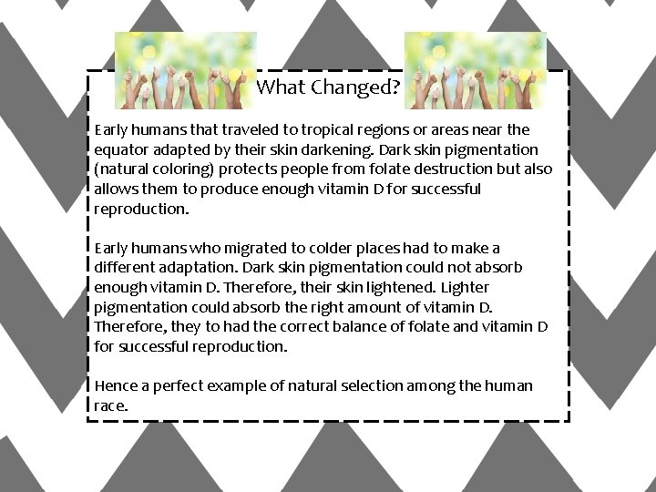 What Changed? Early humans that traveled to tropical regions or areas near the equator