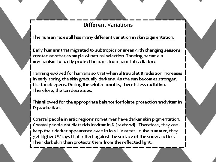 Different Variations The human race still has many different variation in skin pigmentation. Early