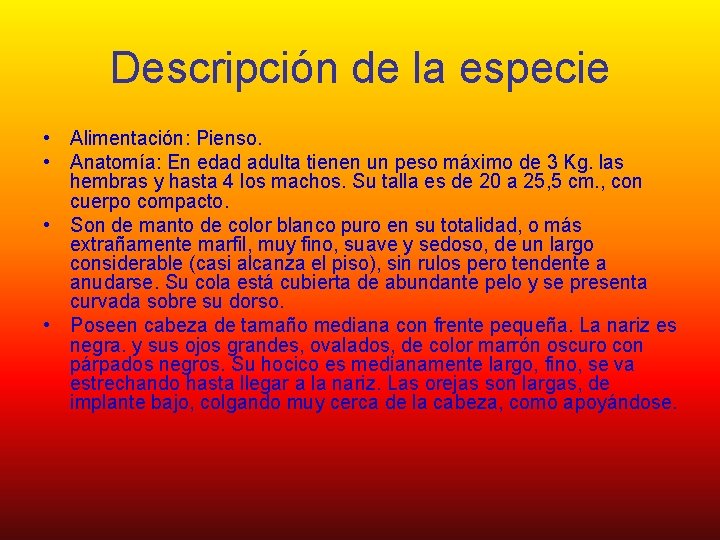 Descripción de la especie • Alimentación: Pienso. • Anatomía: En edad adulta tienen un