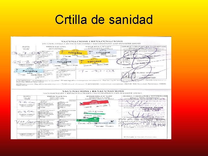 Crtilla de sanidad 