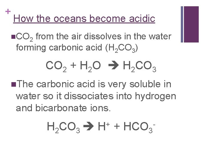 + How the oceans become acidic n. CO 2 from the air dissolves in