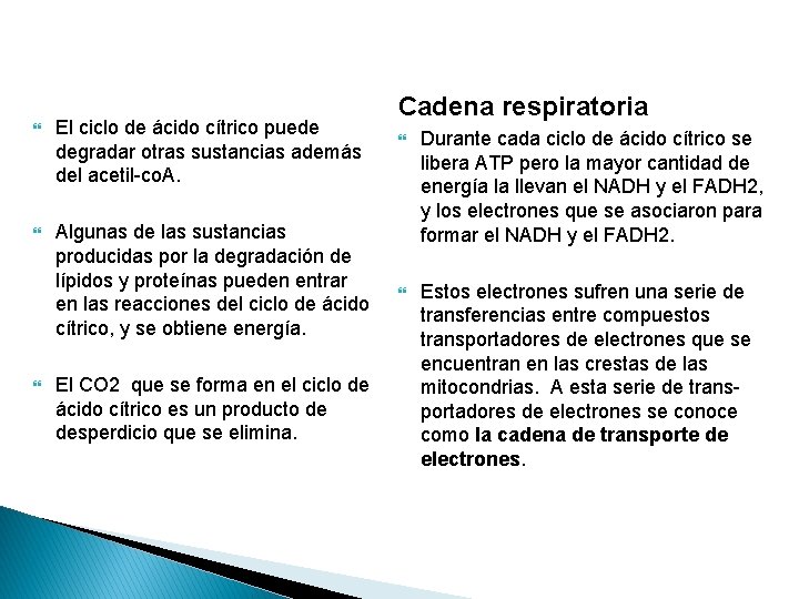  El ciclo de ácido cítrico puede degradar otras sustancias además del acetil-co. A.