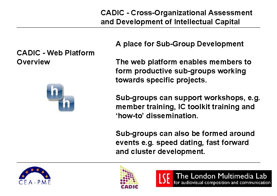 CADIC - Cross-Organizational Assessment and Development of Intellectual Capital A place for Sub-Group Development