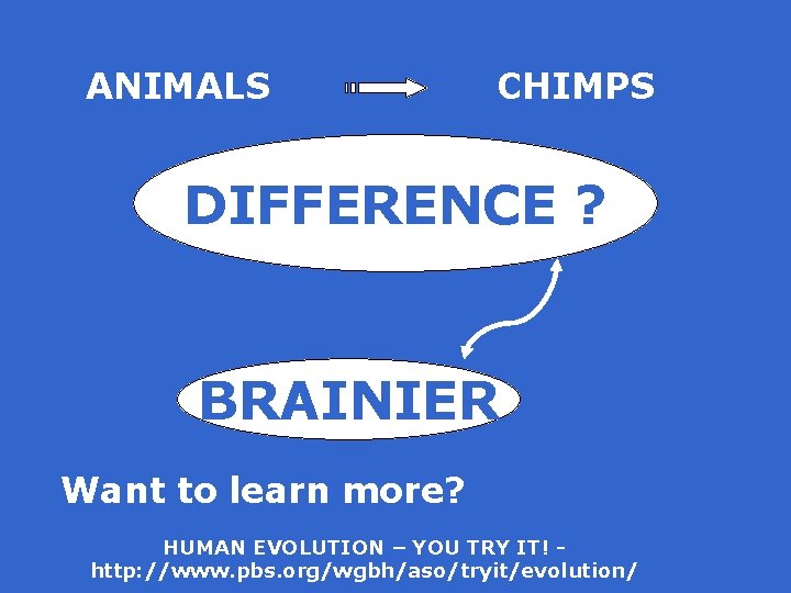 ANIMALS CHIMPS DIFFERENCE ? BRAINIER Want to learn more? HUMAN EVOLUTION – YOU TRY