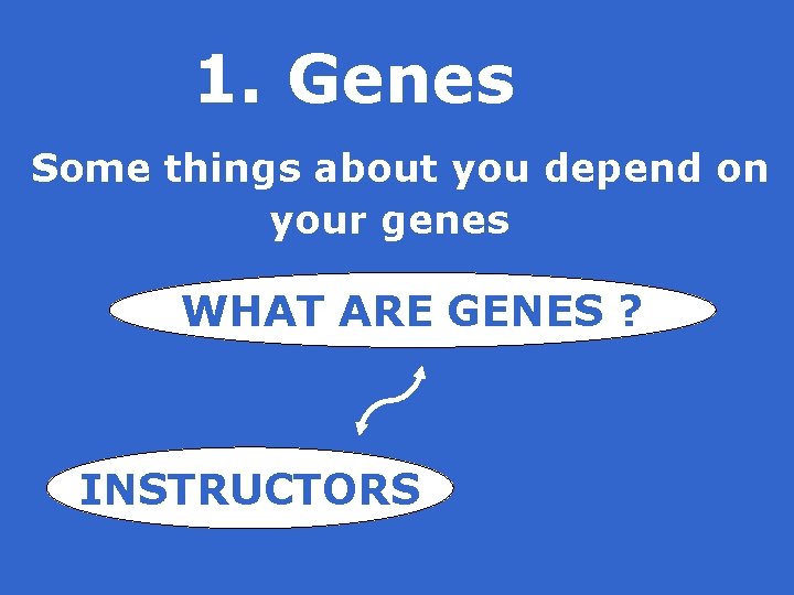 1. Genes Some things about you depend on your genes WHAT ARE GENES ?