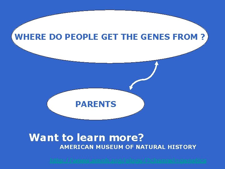 WHERE DO PEOPLE GET THE GENES FROM ? PARENTS Want to learn more? AMERICAN