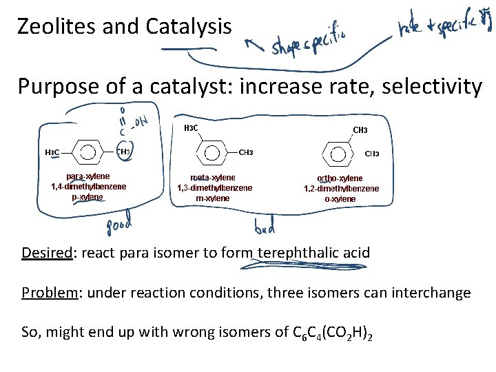 Zeolites and Catalysis Purpose of a catalyst: increase rate, selectivity Desired: react para isomer