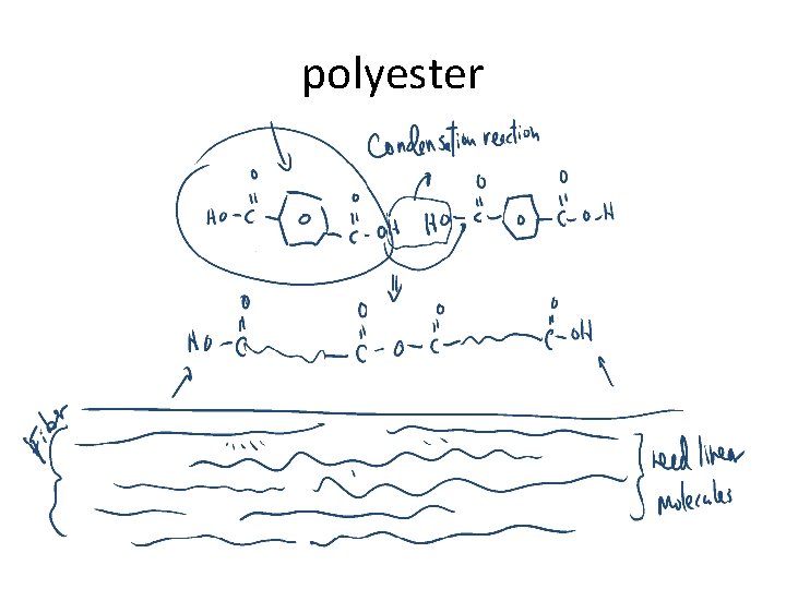 polyester 
