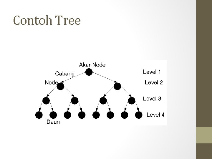 Contoh Tree Contoh Tree