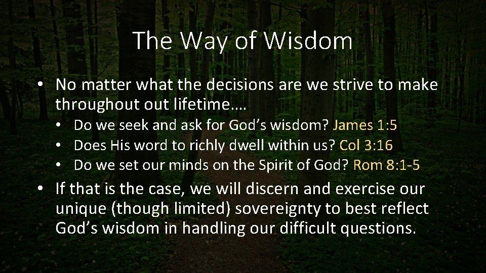 The Way of Wisdom • No matter what the decisions are we strive to