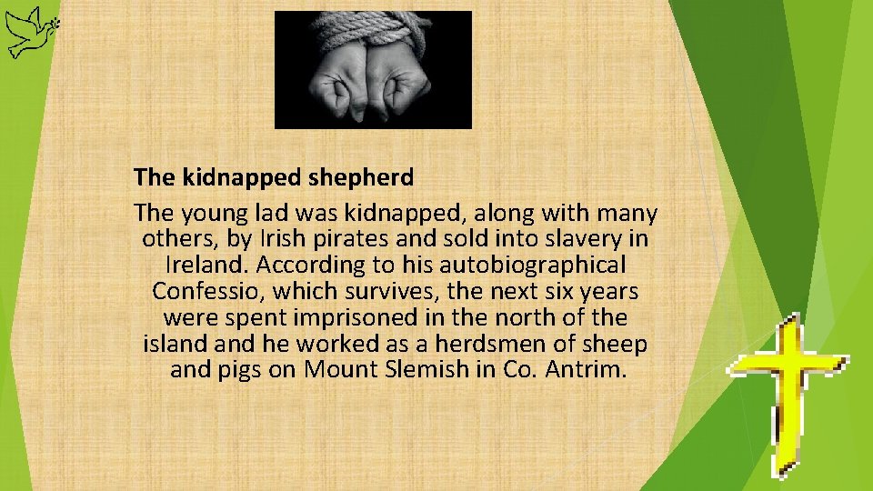 The kidnapped shepherd The young lad was kidnapped, along with many others, by Irish