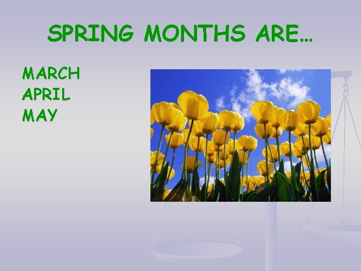 SPRING MONTHS ARE… MARCH APRIL MAY 