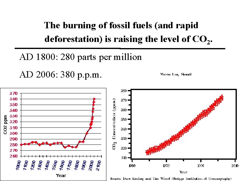 The burning of fossil fuels (and rapid deforestation) is raising the level of CO