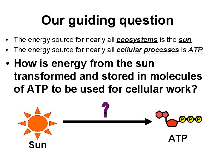 Our guiding question • The energy source for nearly all ecosystems is the sun