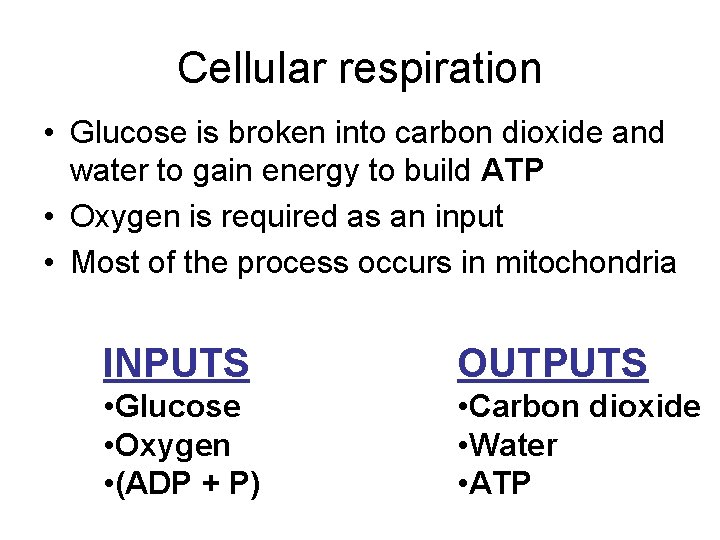 Cellular respiration • Glucose is broken into carbon dioxide and water to gain energy