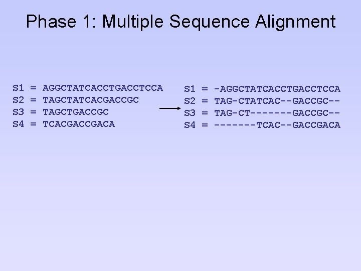 Phase 1: Multiple Sequence Alignment S 1 S 2 S 3 S 4 =