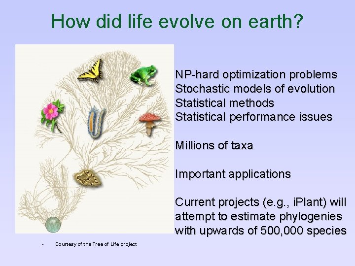 How did life evolve on earth? NP-hard optimization problems Stochastic models of evolution Statistical