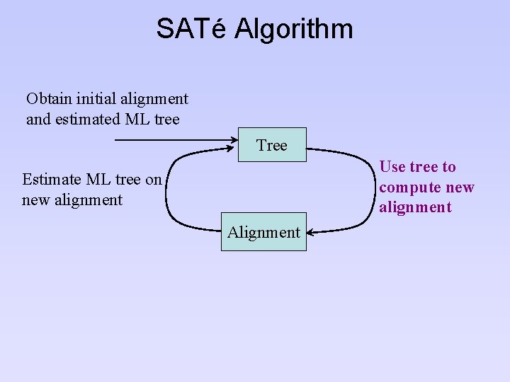 SATé Algorithm Obtain initial alignment and estimated ML tree Tree Use tree to compute