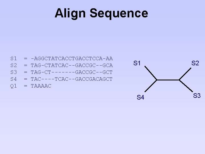 Align Sequence S 1 S 2 S 3 S 4 Q 1 = =
