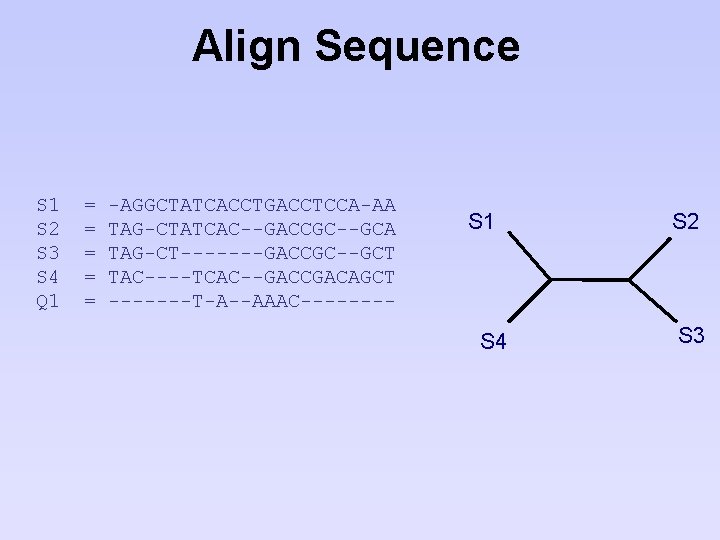 Align Sequence S 1 S 2 S 3 S 4 Q 1 = =