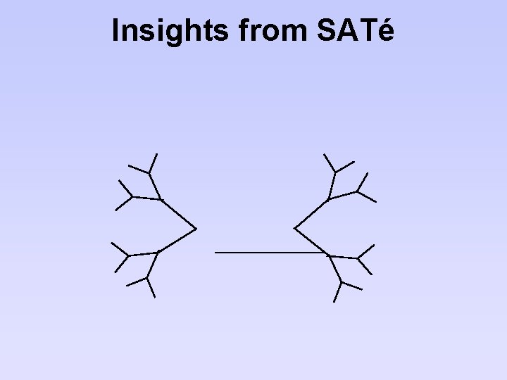 Insights from SATé 