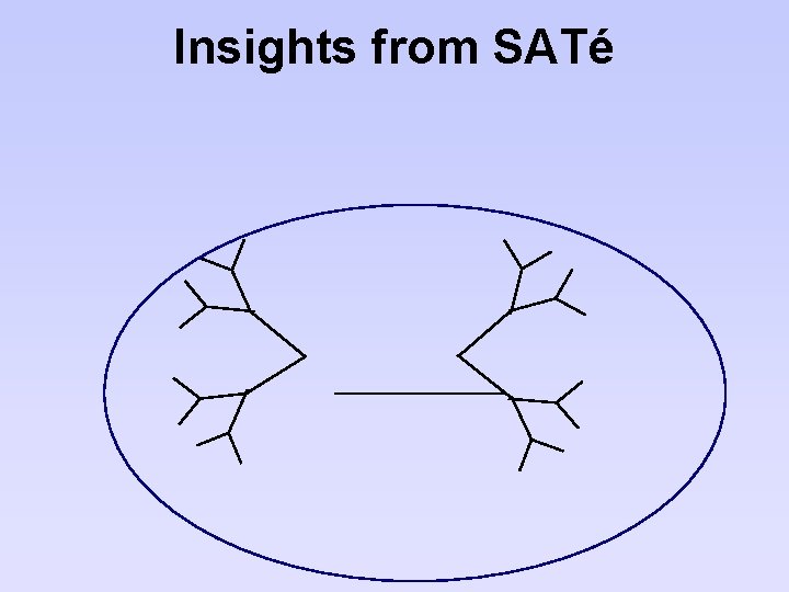 Insights from SATé 