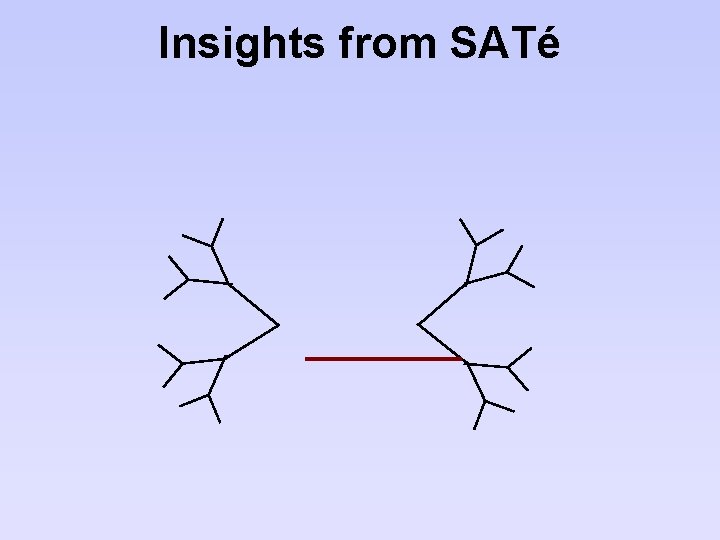 Insights from SATé 
