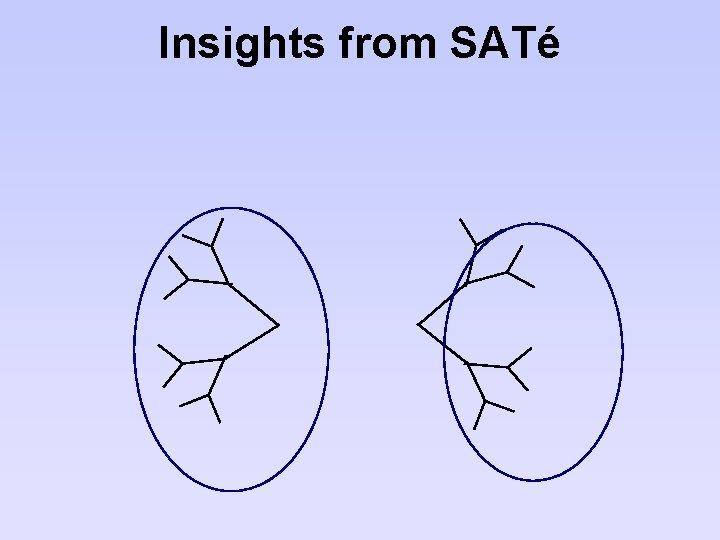 Insights from SATé 