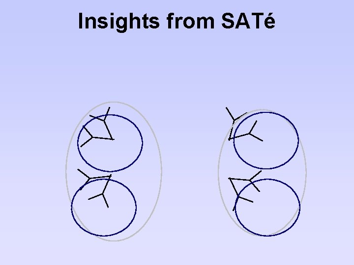 Insights from SATé 