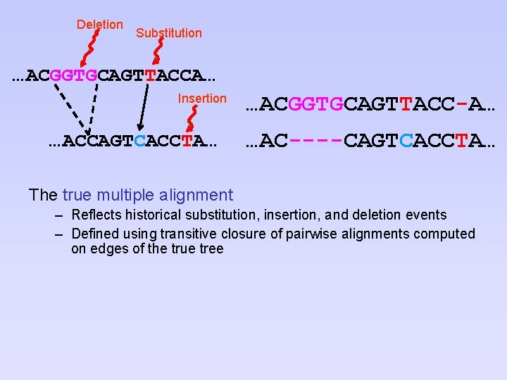 Deletion Substitution …ACGGTGCAGTTACCA… Insertion …ACCAGTCACCTA… …ACGGTGCAGTTACC-A… …AC----CAGTCACCTA… The true multiple alignment – Reflects historical