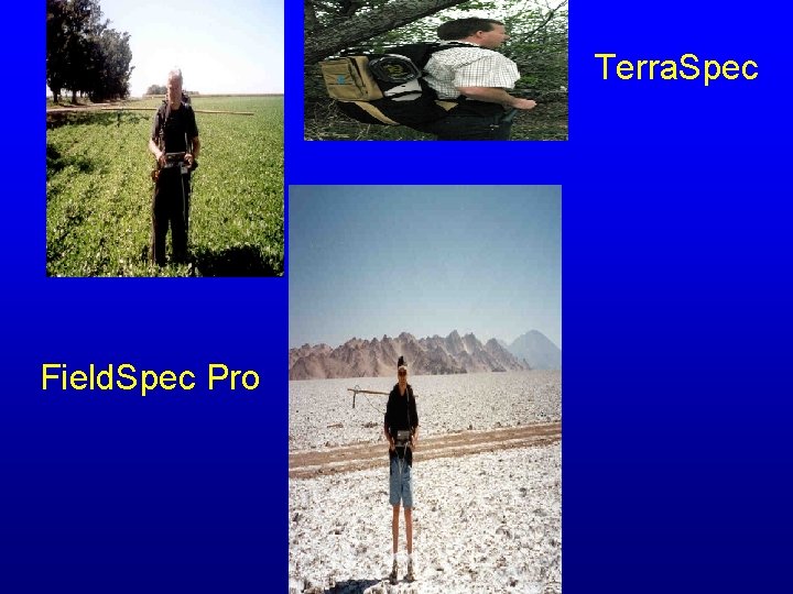 Terra. Spec Field. Spec Pro 
