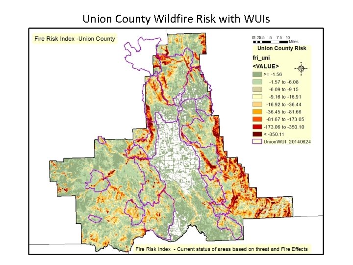 Union County Wildfire Risk with WUIs 