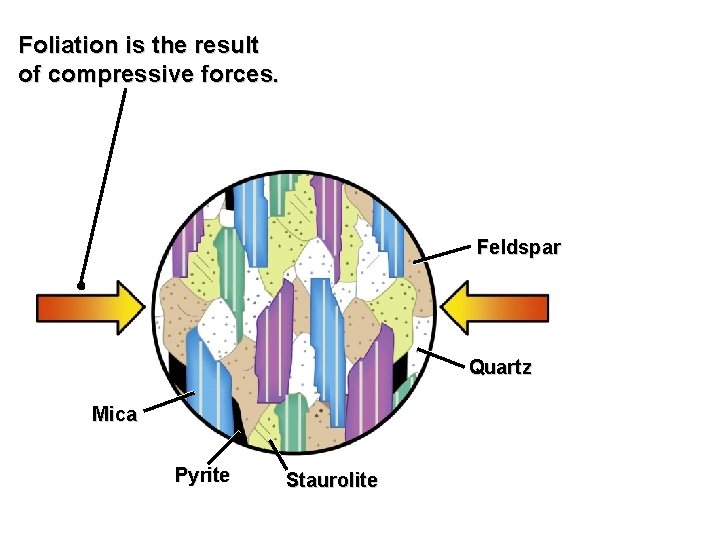 Foliation is the result of compressive forces. Feldspar Quartz Mica Pyrite Staurolite 