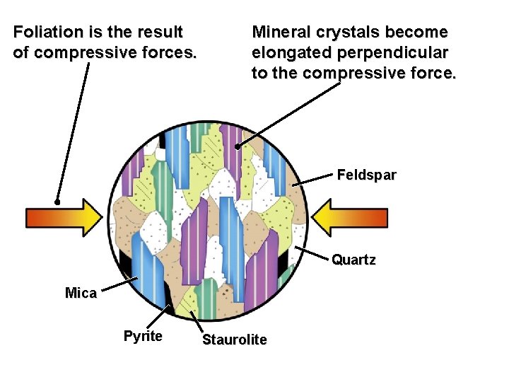 Foliation is the result of compressive forces. Mineral crystals become elongated perpendicular to the