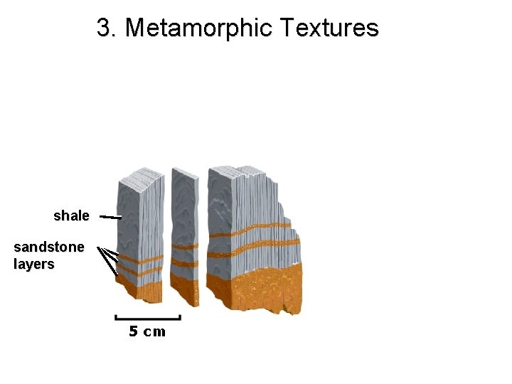 3. Metamorphic Textures shale sandstone layers 5 cm 