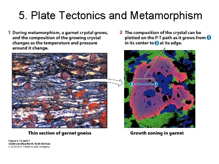 5. Plate Tectonics and Metamorphism 