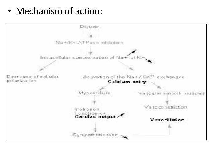  • Mechanism of action: 