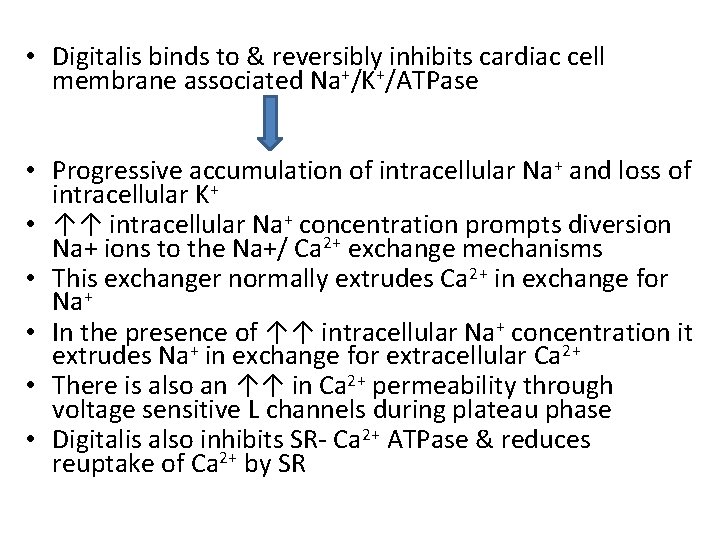  • Digitalis binds to & reversibly inhibits cardiac cell membrane associated Na+/K+/ATPase •