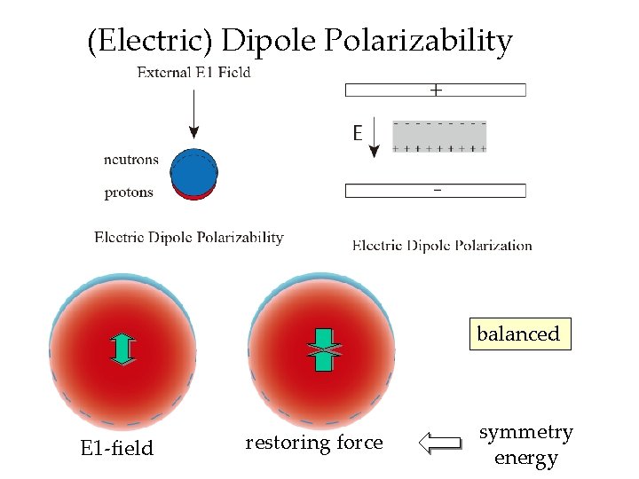 (Electric) Dipole Polarizability balanced E 1 -field restoring force symmetry energy 