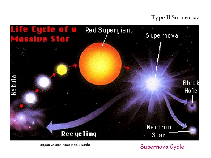 Type II Supernova Langanke and Martinez-Pinedo Supernova Cycle 