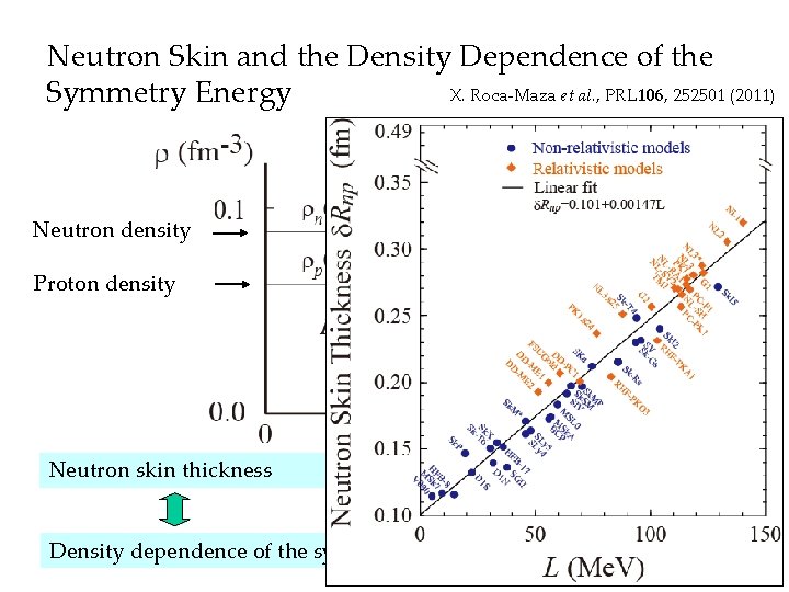 Neutron Skin and the Density Dependence of the X. Roca-Maza et al. , PRL