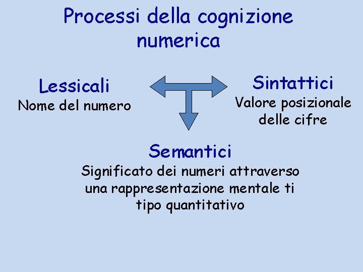 Processi della cognizione numerica Sintattici Lessicali Valore posizionale delle cifre Nome del numero Semantici