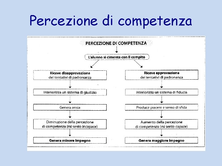 Percezione di competenza 