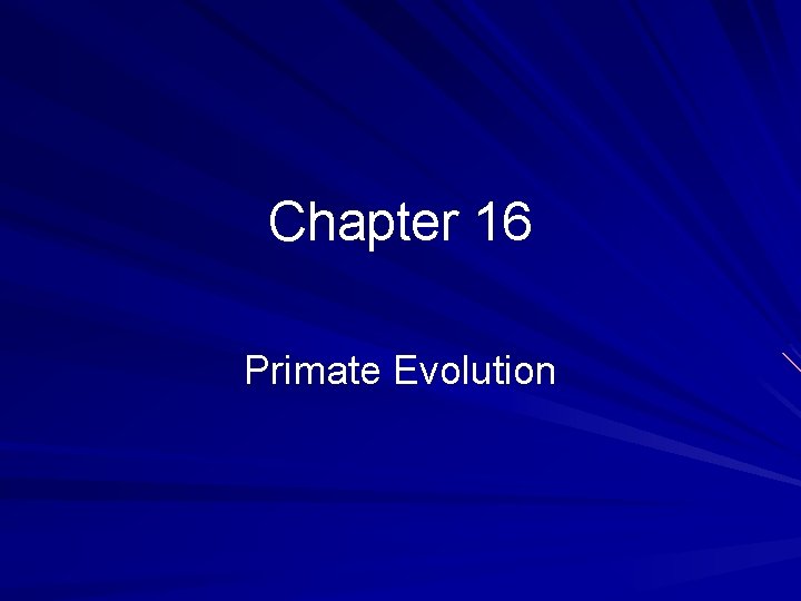 Chapter 16 Primate Evolution 