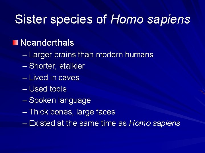 Sister species of Homo sapiens Neanderthals – Larger brains than modern humans – Shorter,